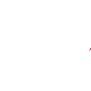 Gynocci